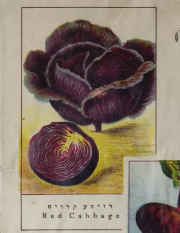 Okładka książki. Na niej trzy kolorowe ilustracje warzyw: kapusty, buraka i papryki.